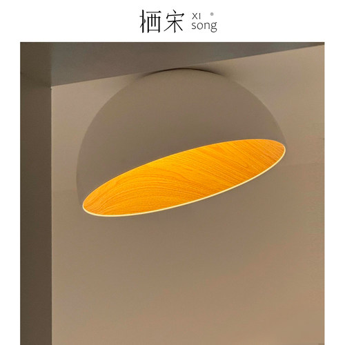 西班牙Duo卧室吸顶灯创意木纹色客厅灯LED书房简约现代灯具
