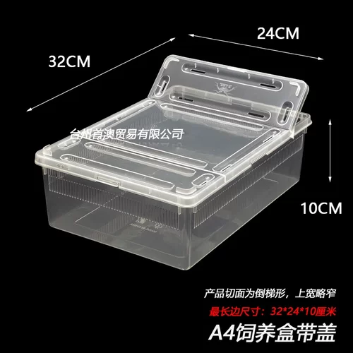 带盖爬虫盒柜有盖爬宠笼蜘蛛蝎子蜥蜴乌龟蛙掌上名蛛饲养盒