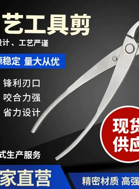园艺复合钢盆景修枝剪斜口剪侧枝剪盆景专用造型工具园艺剪叉枝剪