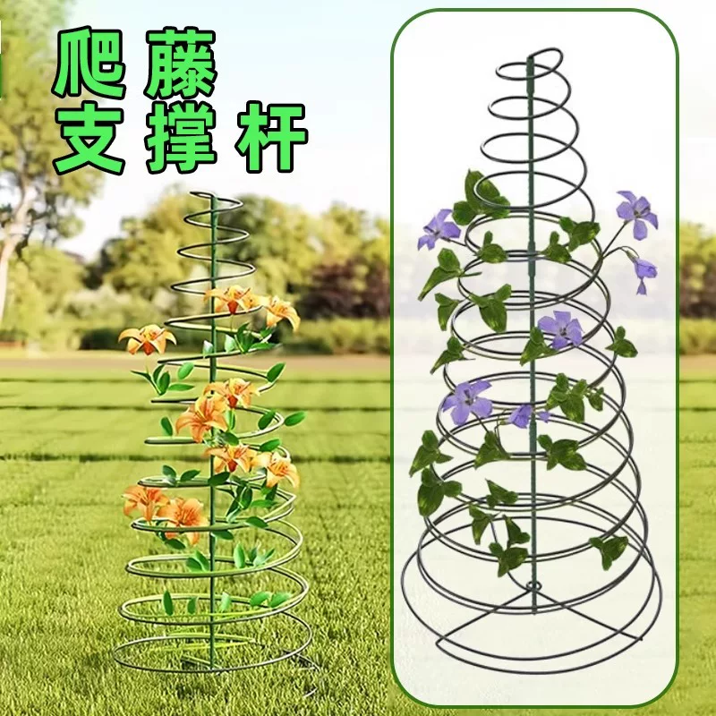 植物支撑螺旋架调节盆栽花盆新品铁环养西红柿花卉固藤蔓蔓藤支架