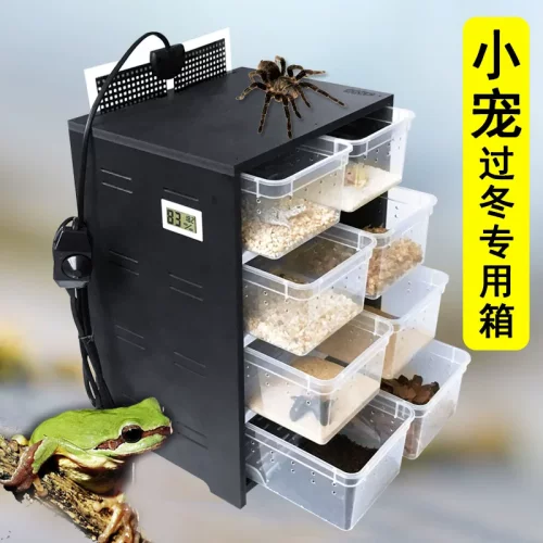 爬虫保温箱小爬宠饲养盒角蛙乌龟蝎子蜘蛛守宫加热繁殖宠物柜