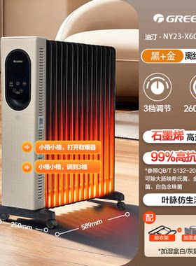 格力13片石墨烯智能语音取暖器