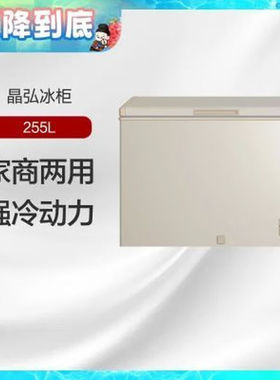 格力晶弘冰柜单温柜255L家商两用强冷动力BC/BD-255D/时代金