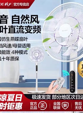 16寸22档大风量|直流变频省电