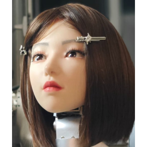 仿生机器人