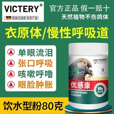 汉诺威赛鸽呼吸道多效好用