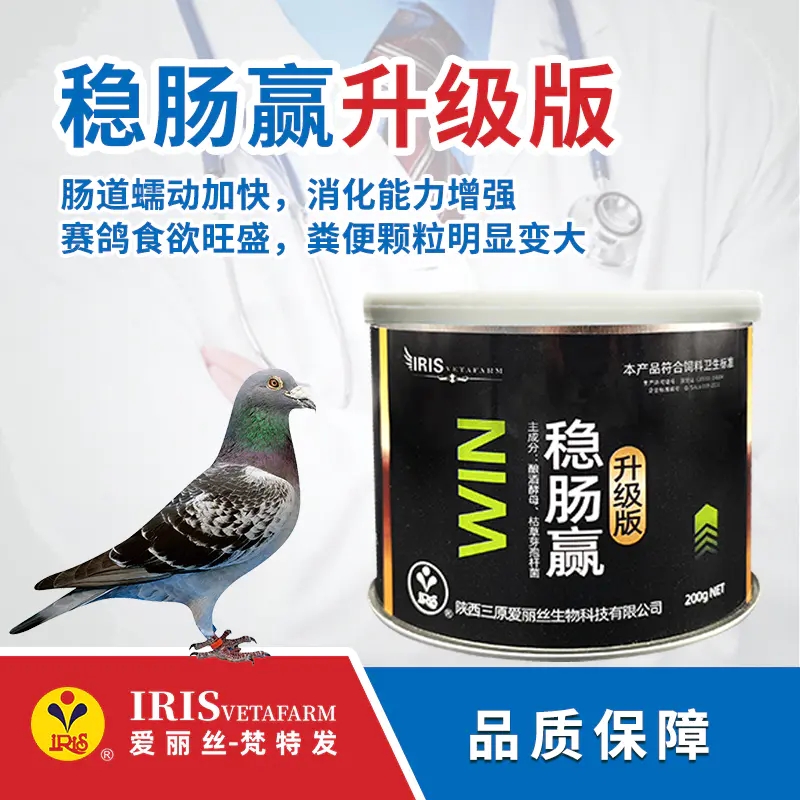 排肠毒清免痢素赛鸽肠道爱丽丝
