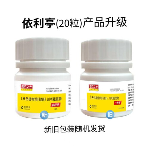 西农之光赛鸽信鸽单眼伤风