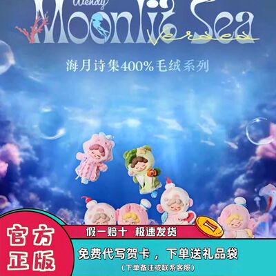 正版Wendy海月诗集400%毛绒盲盒