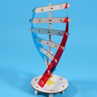DNA双螺旋结构模型科技小制作手工diy人体基因生物科学实验器材料