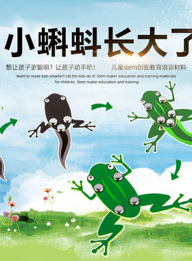 小蝌蚪长大了科技小制作幼儿园科学实验青蛙变态发育现象学生材料