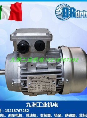 意大利DRDRIVES电机TS63B4 TS80B4 TS71B4 TS90S4 TS100LA4 TH80