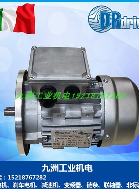意大利DRdrives电机 DRDRIVES刹车电机TS80A4 0.55KW B3B5B14
