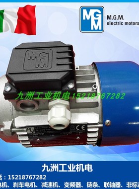 现货意大利MGM直流刹车电机BM63A4 63B4 71B4 80 90 100LA4 B5