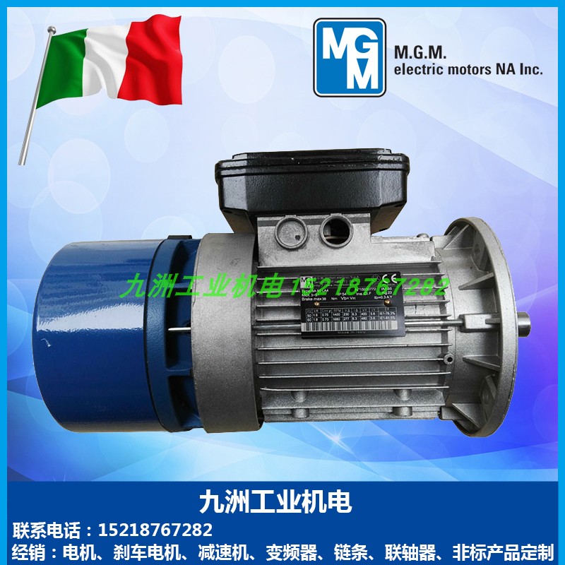 原装MGM刹车电机BA132MB49.2KW