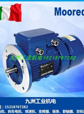 意大利Moorede刹车电机完全替代 MGM COEL BBM 西米克 刹车电机