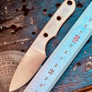 m390刀胚巴克河jbb牙签鱼少量胚