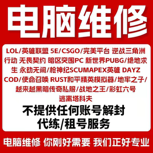 电脑机器维修LOL穿越火线APEX逆战未来CF塔科夫码 无畏契约过炸鱼