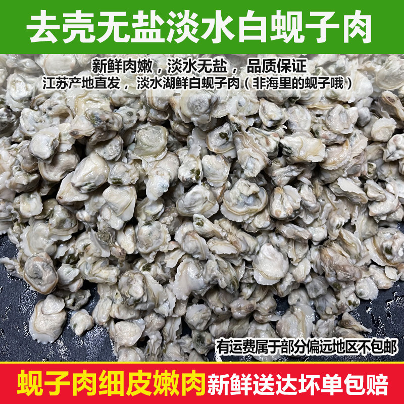 苏北特产新鲜去壳淡水白蚬子肉无盐冰鲜贝类制品现捕去壳无沙水产