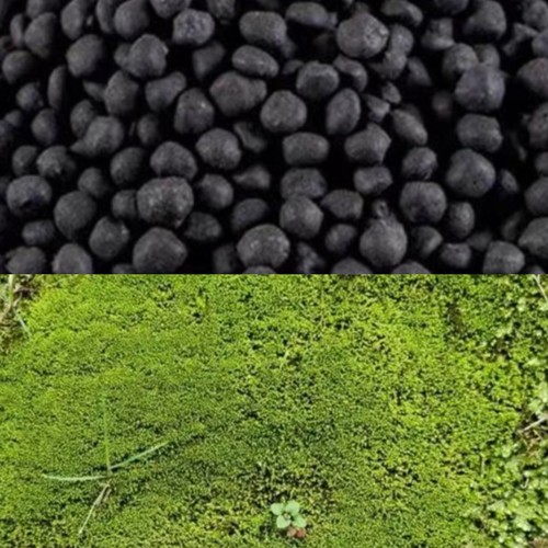 爬虫垫材合集角蛙泥水草苔藓水苔椰土椰砖水苔珊瑚沙压缩
