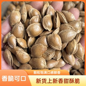 新疆产地直发小白杏甜杏仁奶香味开口带壳甜杏仁颗粒饱满口感醇香