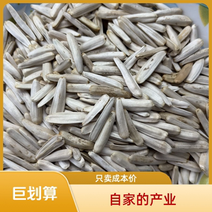 新疆直发新疆现炒马牙原味瓜子超大颗粒更过瘾不上火消遣瓜子