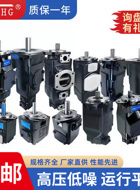 国产替代派克丹尼逊叶片泵T6DCC T7EEC液压三联泵T7DD T7BS T7DDS