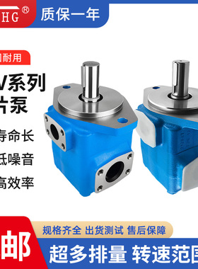 叶片液压泵35V-17/21/25/30/32/35/38/42A-1ABCD-22R单级叶片油泵