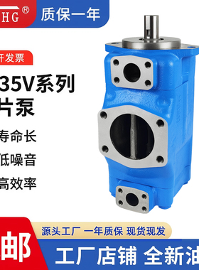 液压4535V-42/45/50/57/60/66/75A38-1/86AABBCCDD-22R双联叶片泵