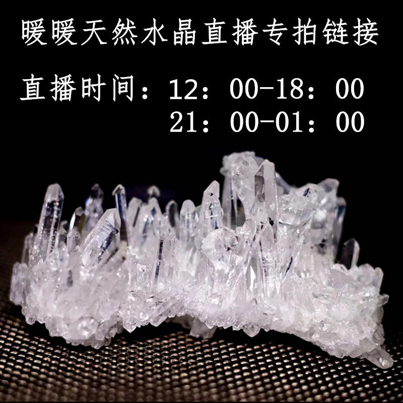 骸骨价格 骸骨图片 星期三