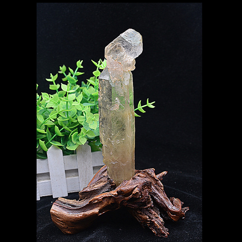 喜马拉雅金发晶原石水晶柱摆件钛晶骨干标本客厅简约装饰现代天然