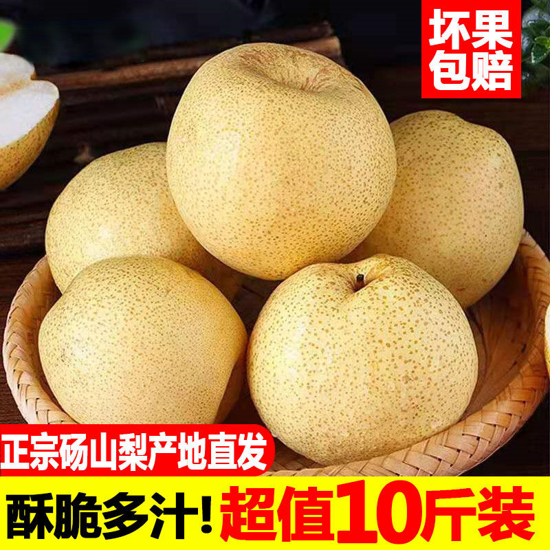 现摘梨子新鲜水果砀山梨9斤贡梨当季整箱包邮青皮汤山梨烤梨专用