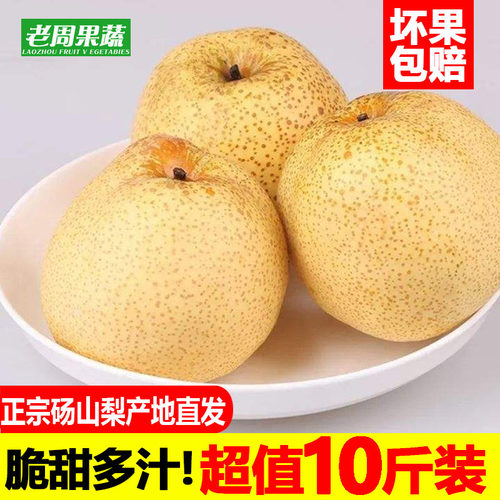 现摘现发砀山梨酥梨烤梨专用