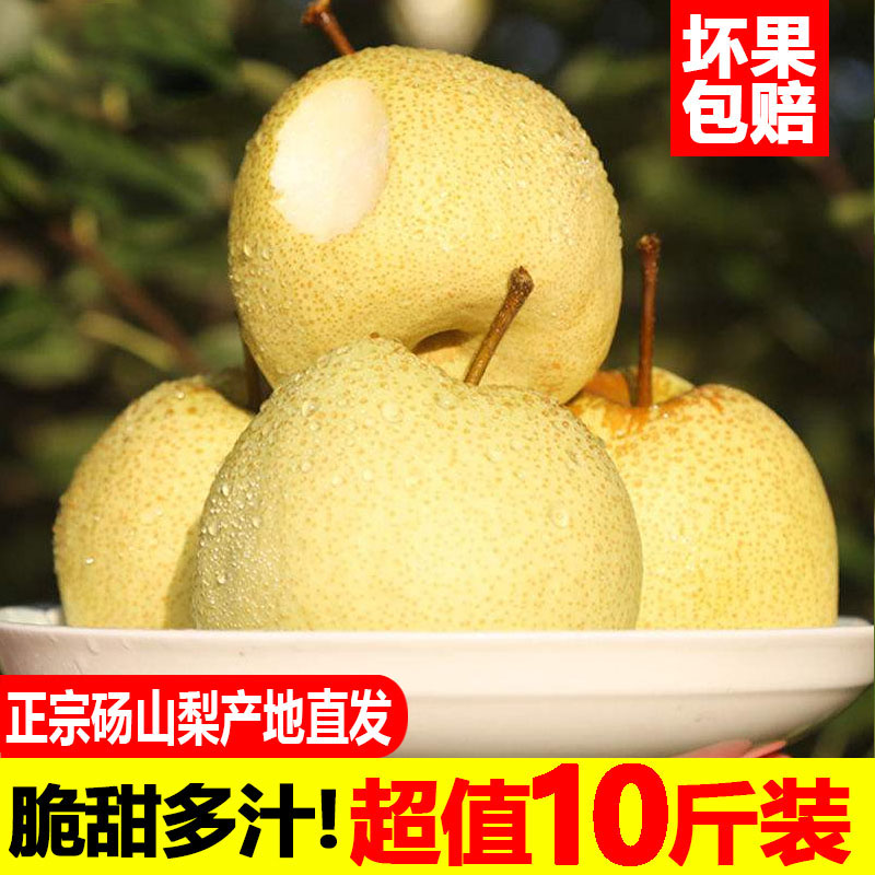 现摘新鲜脆甜砀山梨烤梨