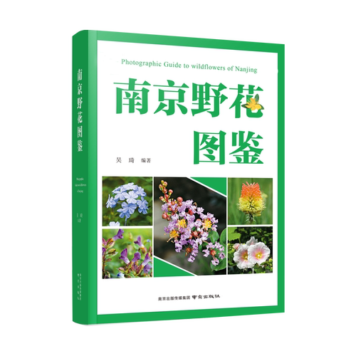 南京野花图鉴 科普图鉴