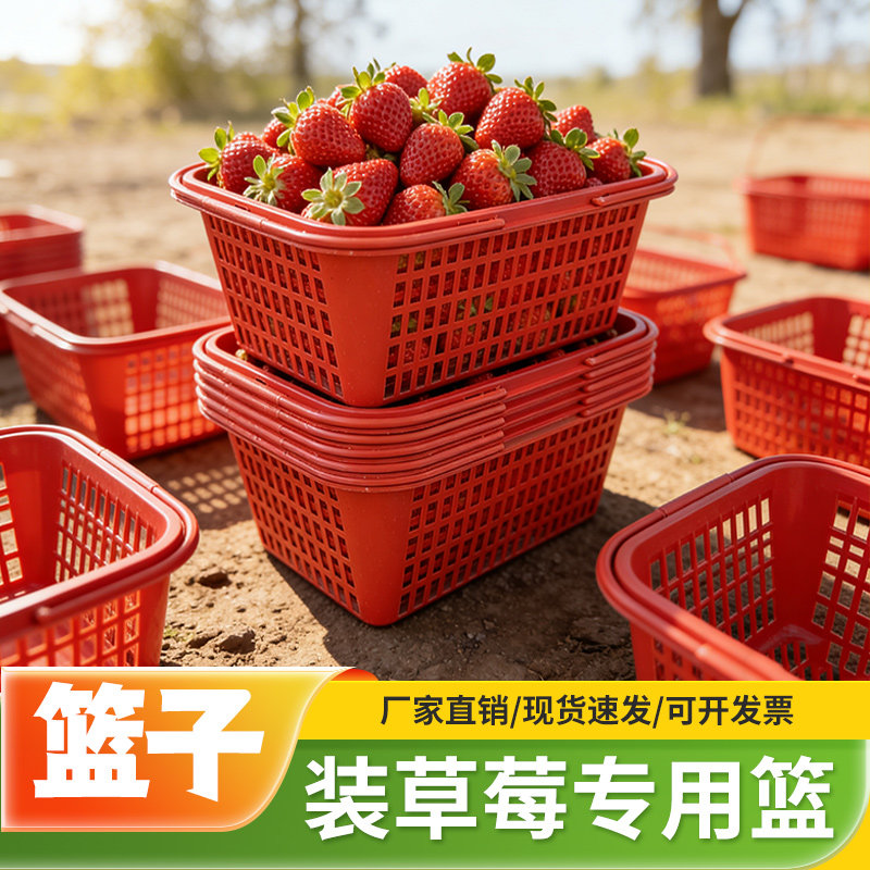 水果篮草莓采摘筐一次性塑料樱桃杨梅桑葚手提篮子批发家用