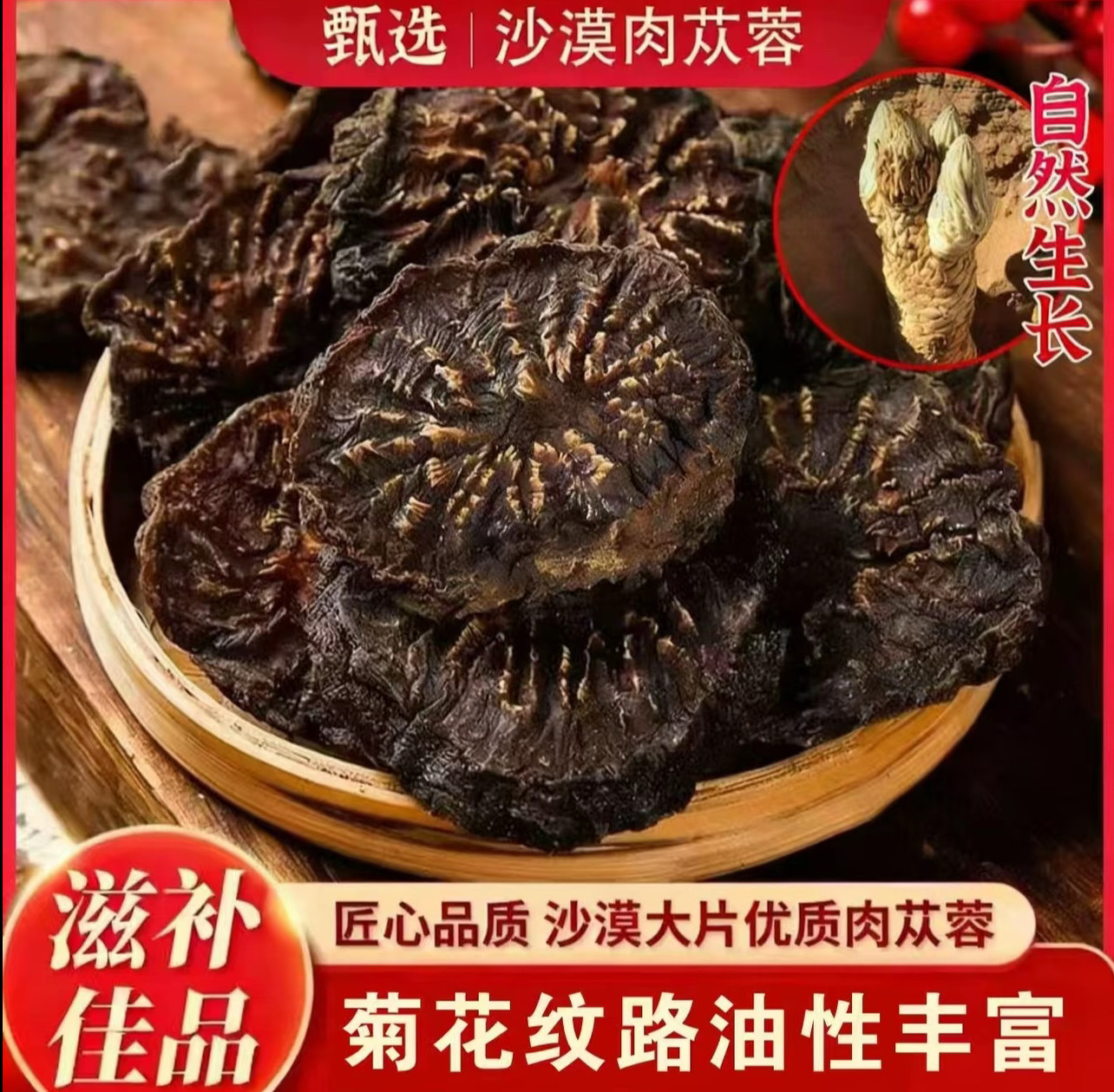 阿拉善肉苁蓉切片中草药材内蒙古管花油性肉苁蓉配锁阳淫羊藿