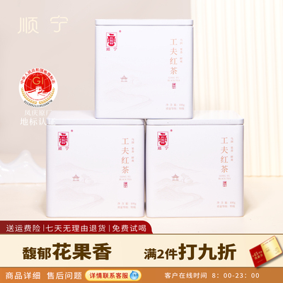工夫红茶100g  花果香 滇红茶铁盒罐装便携口粮茶茶叶耐泡鲜爽
