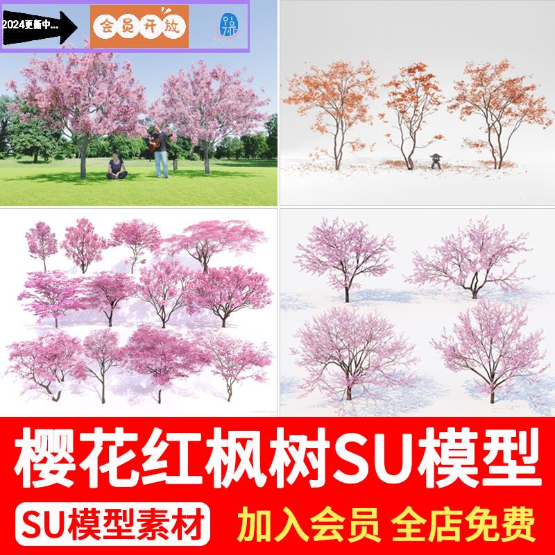 现代樱花枫树红枫桃树日式庭院景观花树彩叶花灌木草图大师SU模型 商务/设计服务 样图/效果图销售 原图主图