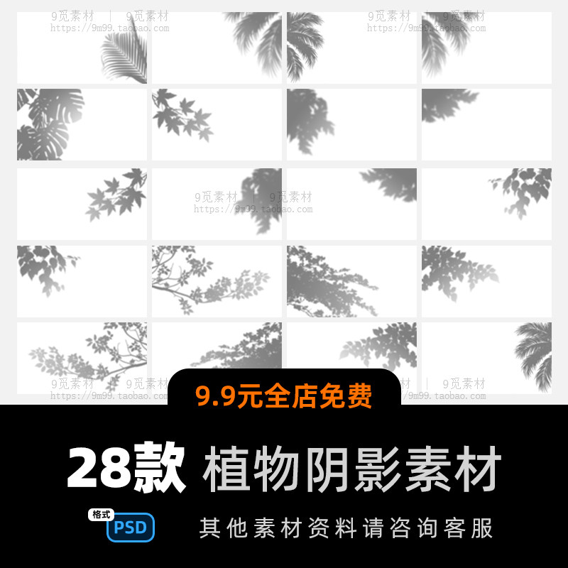 创意植物叶子光照影子剪影阴影素材装饰元素psd模板ps设计素材图