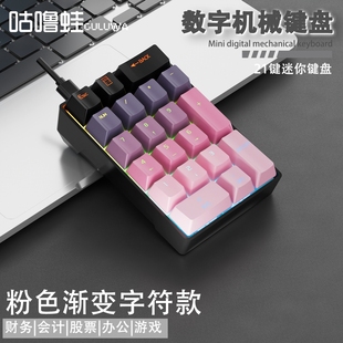 有线小键盘独立数字电脑真机械键盘外接财务键盘有线办公小型键盘