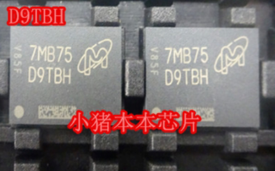 集成电路MT40A1G8WE-083EB