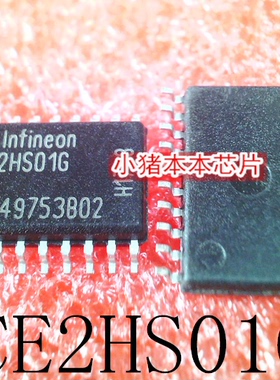 ICE2HS01G   ICE2HSO1G    SOP20    新的  一个起拍