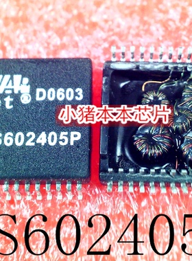 NS602405P   N5602405P   SOP24    新的  一个起拍     可直拍