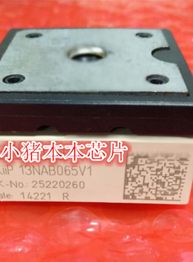 SKIIP13NAB065V1   SKIIP13NAB065VI  13NAB065V1 新的 现货 一个