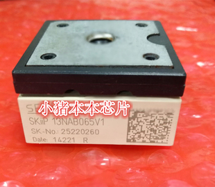 SKIIP13NAB065V1   SKIIP13NAB065VI  13NAB065V1 新的 现货 一个