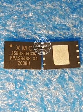 XM25RH256CXIQT10S 25RH256CXIQ QFN8 新的 一个起拍