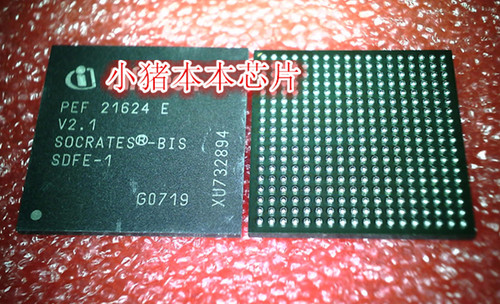 小猪本本芯片新的一个起拍