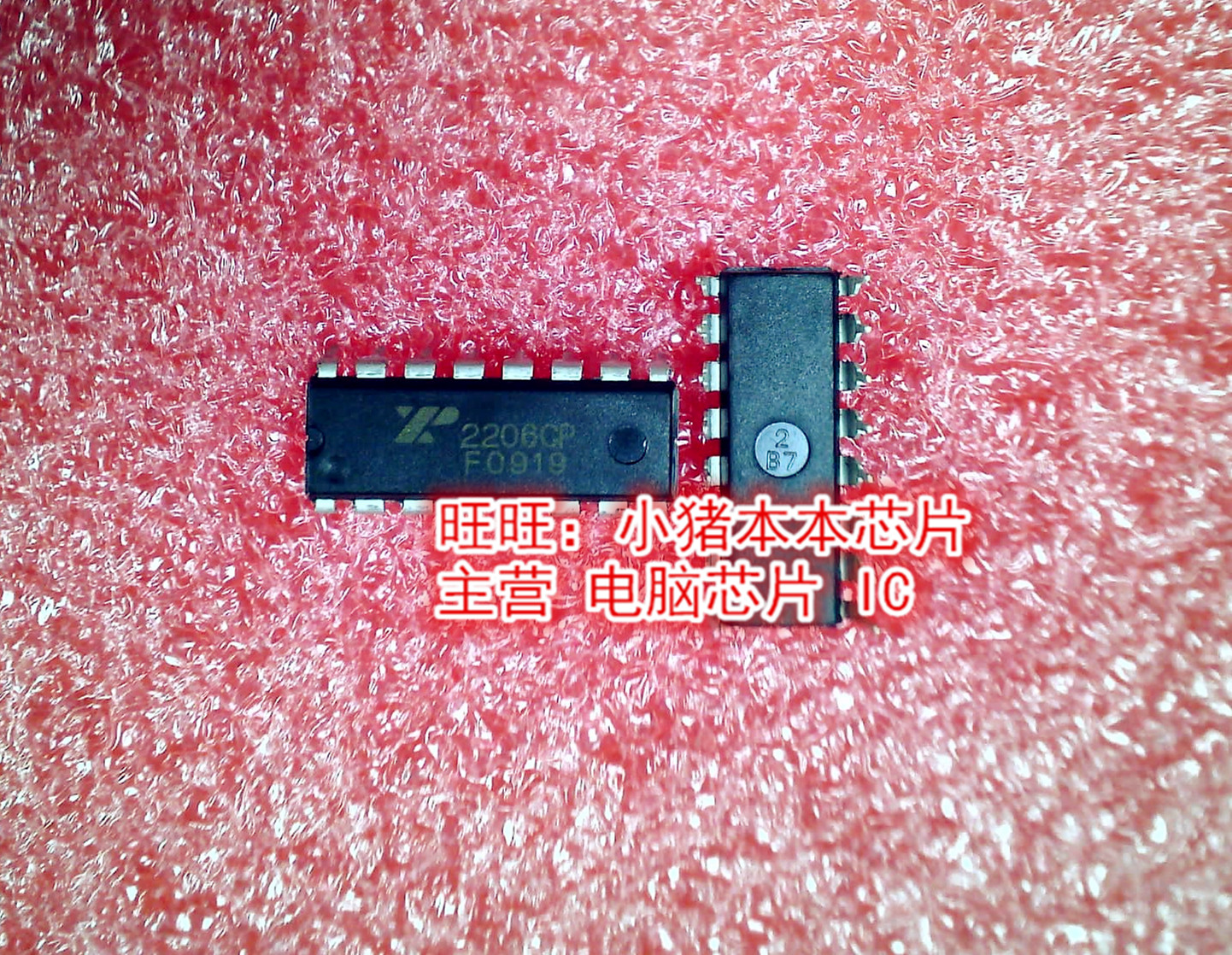 XP2206CP   XP2206   DIP-16封装  新的现货  一个起拍