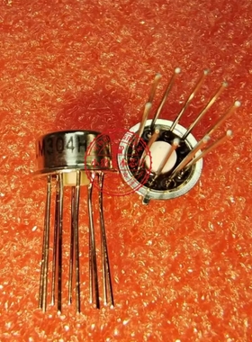 LM304H  LM304  LW304H    CAN10   新的    一个起拍